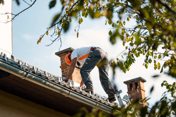 Best Roof Gutter Cleaning  in Westke, LA
